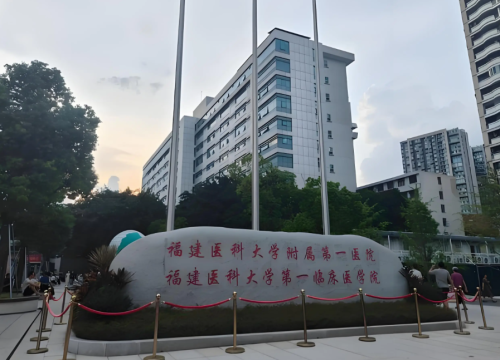 QQ截图20251218172113.png