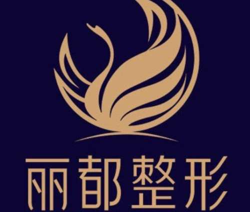 泰州丽都医疗美容医院lo.jpg