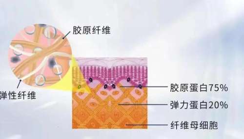 注射胶原蛋白美容 注射胶原蛋白美容