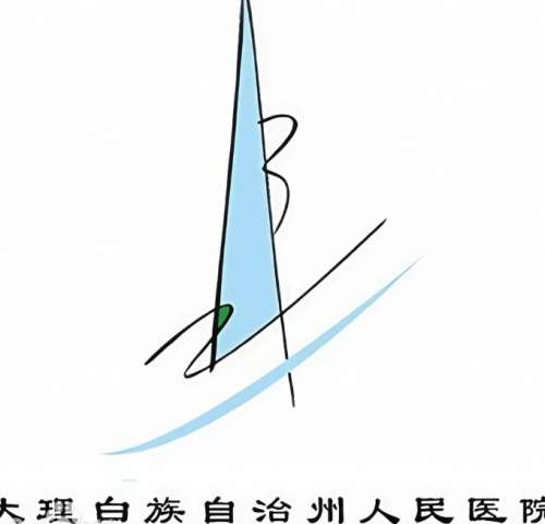 大理州人民医院lo.jpg