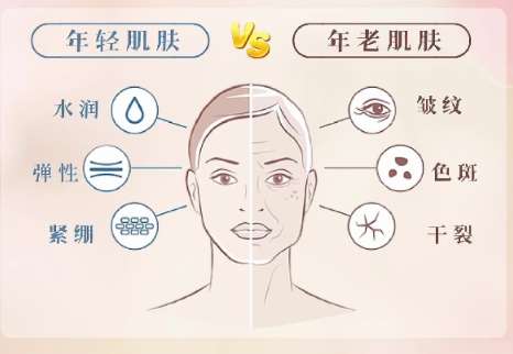 除皱