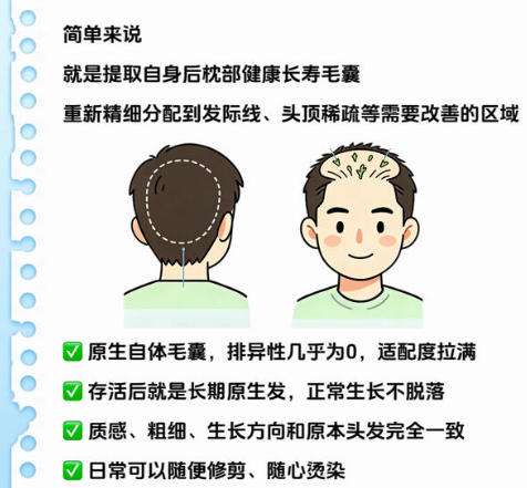 植发2.jpg 植发2.jpg