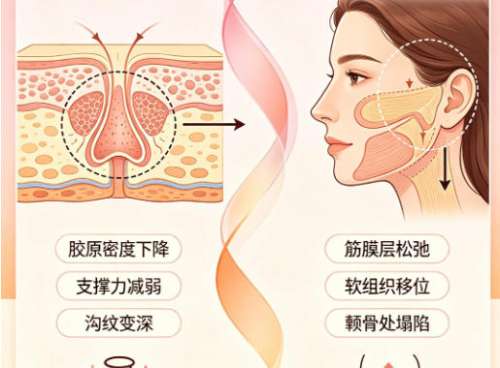 抗衰5.jpg 抗衰5.jpg