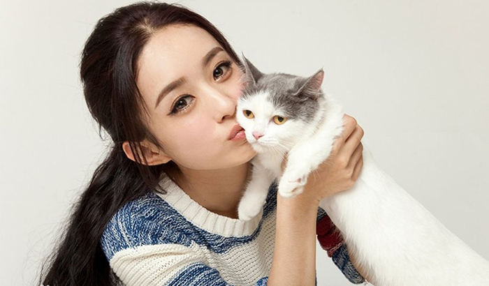 一字眉OUT了！明星教你如何看脸型选“眉”