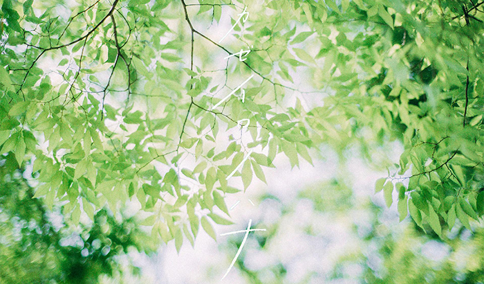 温暖日系唯美风景图片欣赏