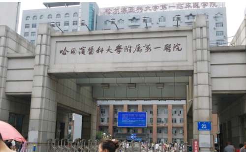 哈尔滨医科大学附属第一医院孙延昌大拉皮手术技术测评怎么样?术后半年案例
