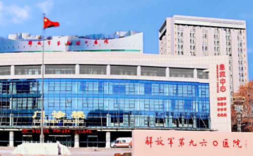 联勤保障部队第九六〇医院倪金蕾注射除皱一般多少钱?90天案例,价目一览表