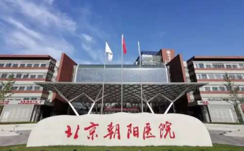 北京朝阳医院曹梅毛发移植技术等级怎么样?心动案例&价目一览表