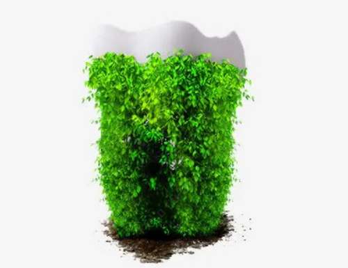 北京牙齿种植价钱多少？种牙三甲医院有哪些？