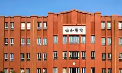 福州植发价格一览：协和医院植发技术+2026费用，公立医院实力如何？