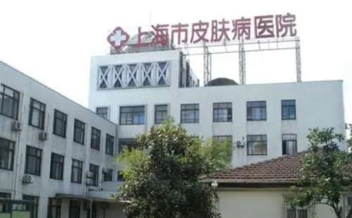 上海市皮肤病医院陈裕充苹果肌凹陷整形手术价格明细?技术风格_价目一览表