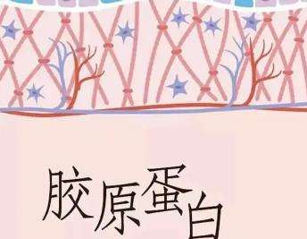 广州打胶原蛋白多少钱？11,000~19,000元左右！提示：别被低价引流哦！