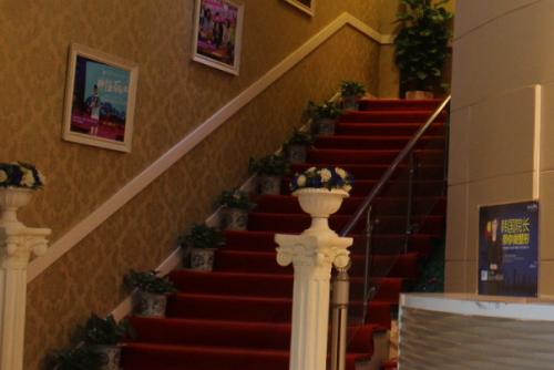 苏州大学附属第二医院祛妊娠纹手术120天术后恢复案例(外观怎么样?技术评测)