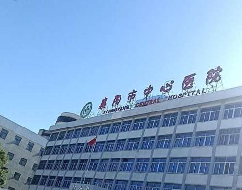 襄阳植发费用多少?市中心医院植发技术+2026价目表，汉江流域发友参考!