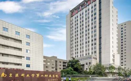 南京医科大学第二附属医院蔡薇隆鼻手术技术风格怎样？价格1万元起，价格一览表