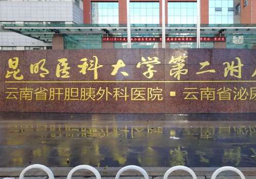 昆明医科大学第二附属医院刘垠自体隆鼻技术风格怎么样?术后90天案例