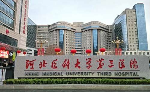 河北医科大学第三医院胡焕荣注射瘦脸整形案例细节|技术点评怎么样?价格一览表
