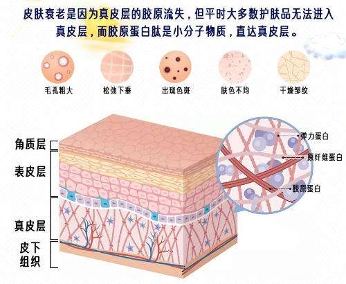 南京打胶原蛋白针多少钱？2026价格解析！含热门医院名单