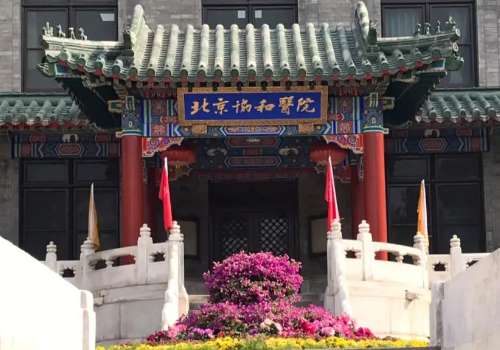 北京协和医院龙飞隆鼻实力案例&需要多少钱?？