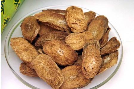 牛蒡根的功能