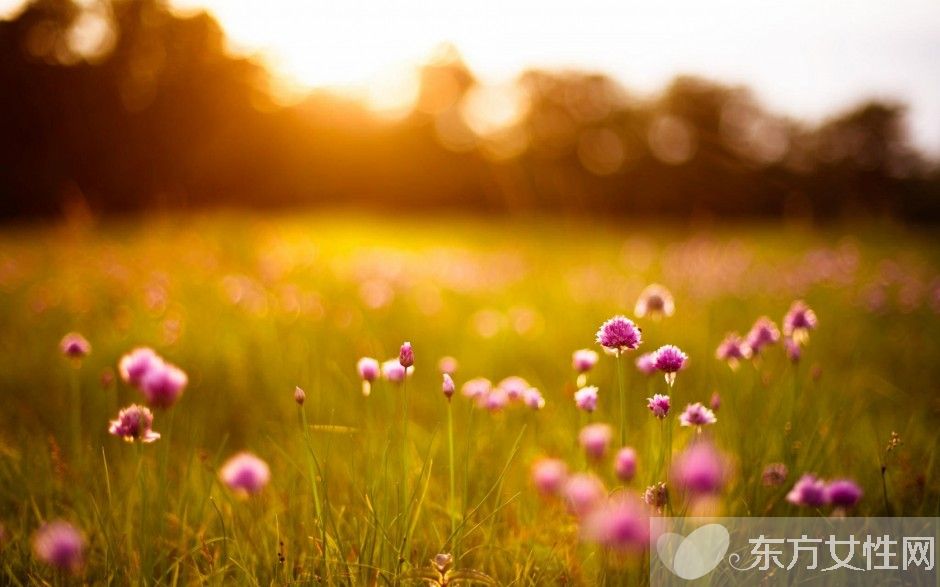 梦见生女孩是甚么意思 揭秘6种常见梦境的意味意义