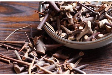 皂角刺的功效与作用，食用不可不知的三个禁忌