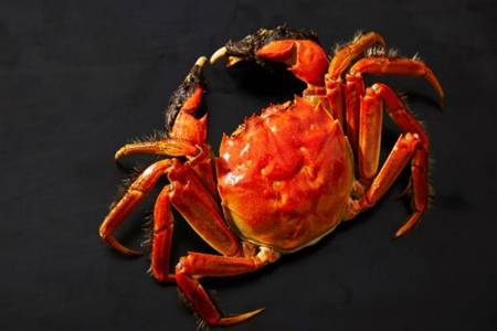 柳州螺蛳粉好吃吗 螺蛳怎么去腥味为何吸不出来