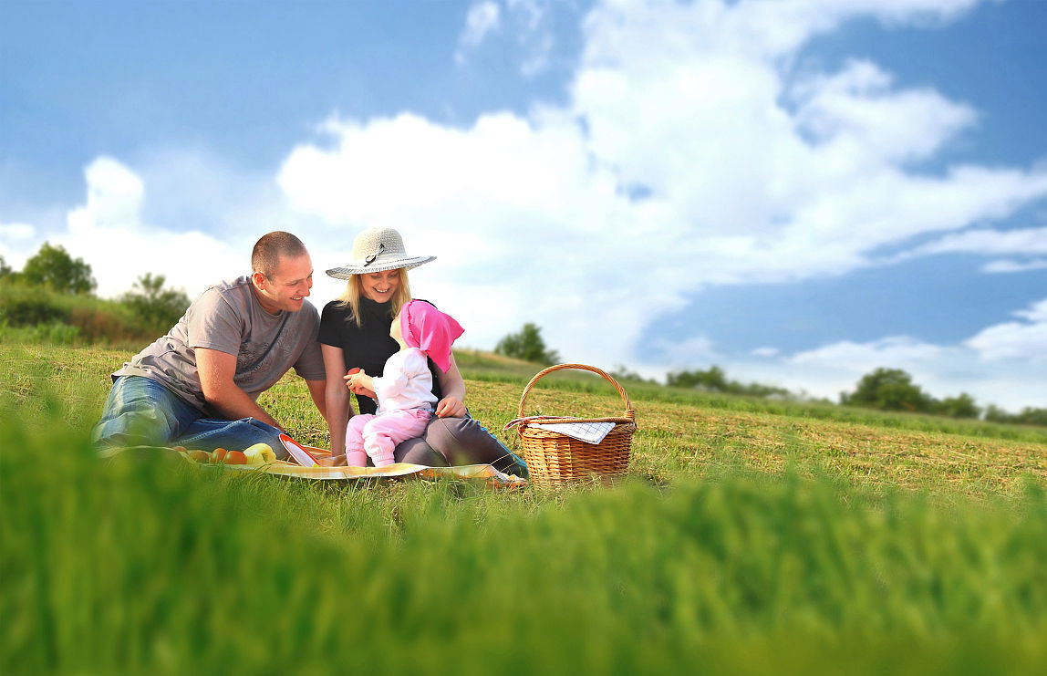 阳气不足容易手脚冰凉，要学花朵向阳光汲取能量