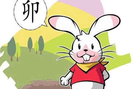 2023属兔人五行是什么命 金兔木兔水兔火兔土兔运势如何