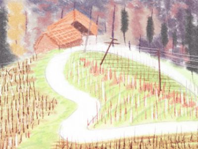 甜蜜还是苦涩，12星座的爱情观是什么