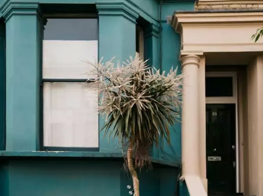 喜欢一个人的矛盾心态：渴望与拒绝的冲突