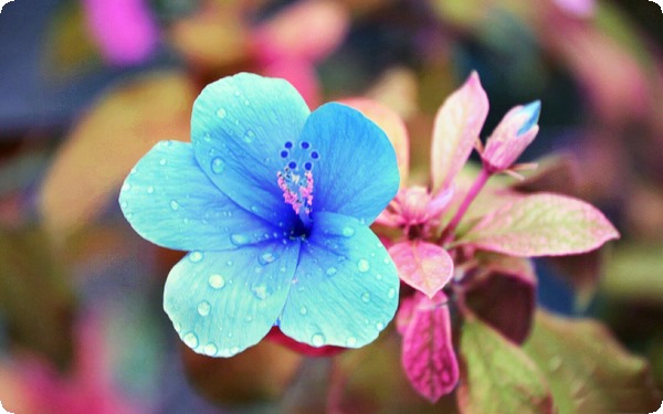 女性性感受的因素解析：第几次才会有感觉的探讨