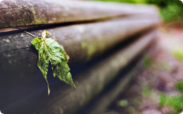 女人出轨外遇的心理原因有哪些？ 女人出轨由什么引